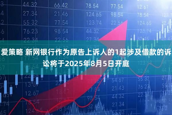 爱策略 新网银行作为原告上诉人的1起涉及借款的诉讼将于2025年8月5日开庭