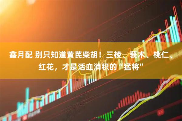 鑫月配 别只知道黄芪柴胡！三棱、莪术、桃仁、红花，才是活血消积的“猛将”