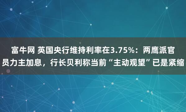 富牛网 英国央行维持利率在3.75%：两鹰派官员力主加息，行长贝利称当前“主动观望”已是紧缩