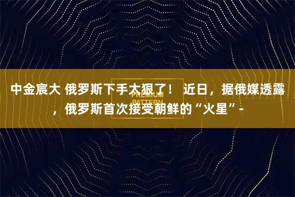 中金宸大 俄罗斯下手太狠了！ 近日，据俄媒透露，俄罗斯首次接受朝鲜的“火星”-